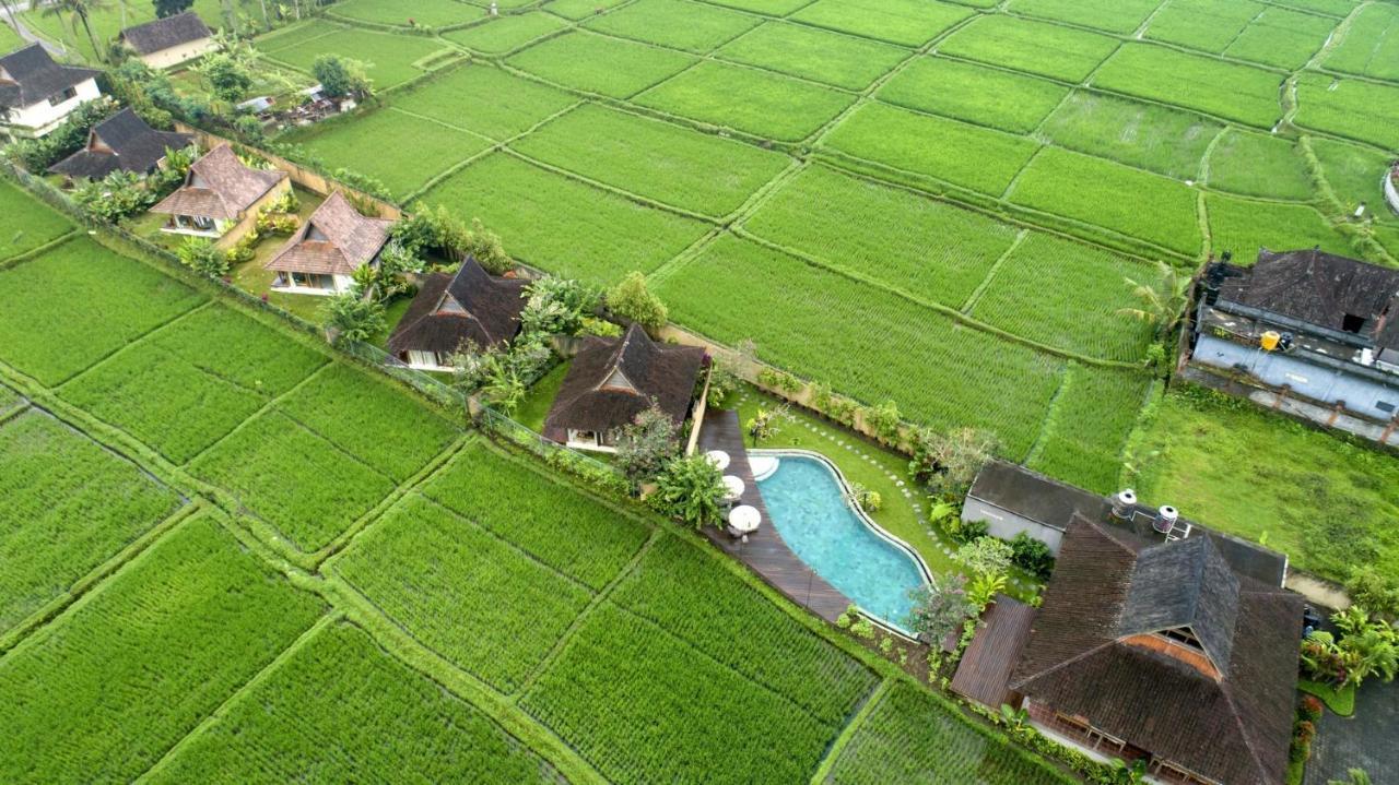 Kabinawa Ubud Villas By Pramana Villas エクステリア 写真